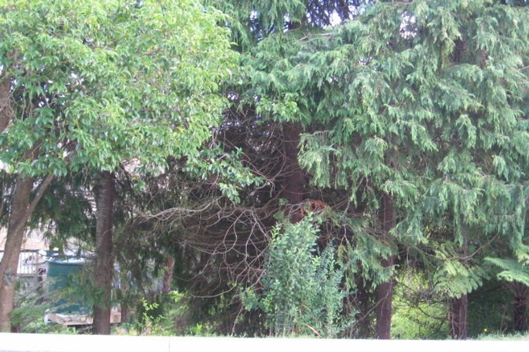 Photo of property in 63 Saddleback Rise, Murrays Bay, Auckland, 0630