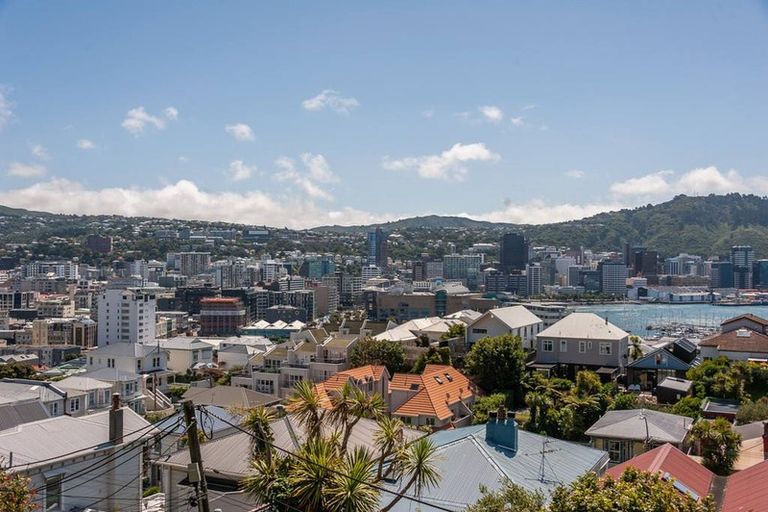 Photo of property in 5 Mcintyre Avenue, Mount Victoria, Wellington, 6011