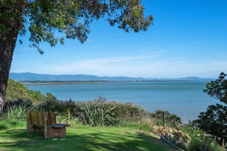 Photo of property in 311 Pahoia Road, Whakamarama, Tauranga, 3172