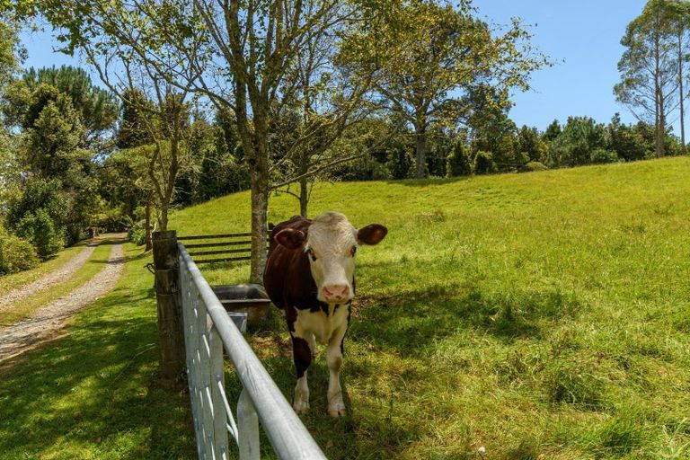 Photo of property in 99c Ross Road, Whakamarama, Tauranga, 3179