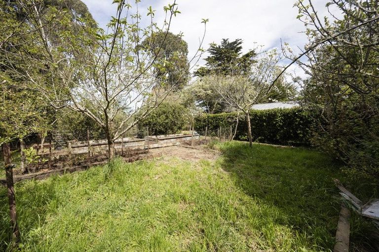 Photo of property in 13 Norwich Street, Hampden, 9410