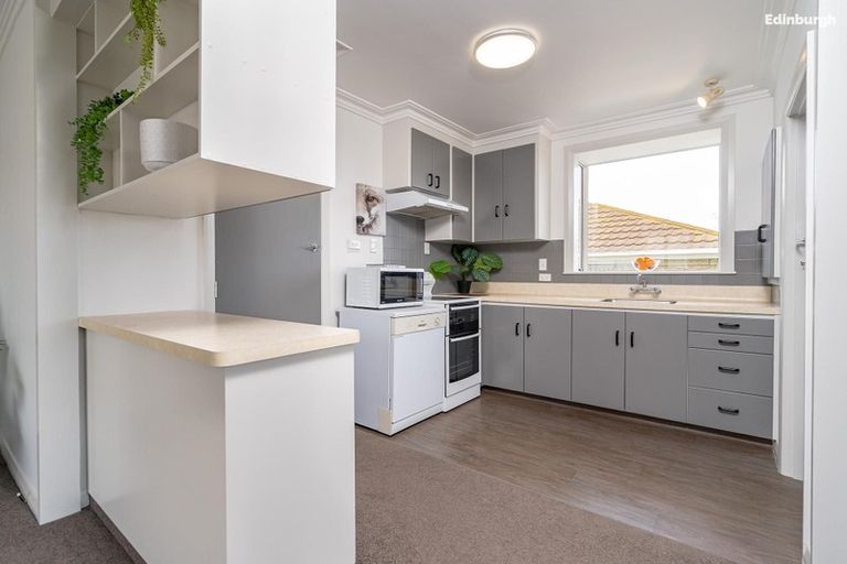 Photo of property in 163 Eglinton Road, Mornington, Dunedin, 9011