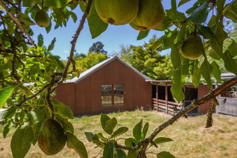 Photo of property in 21 Deer Park Road, Cheviot, 7310