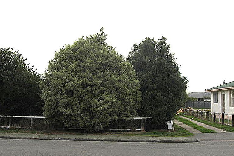 Photo of property in 54 Mill Road, Waimate, 7924