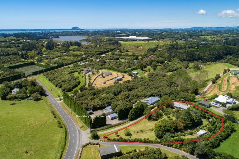 Photo of property in 29 Whakamarama Road, Whakamarama, Tauranga, 3179