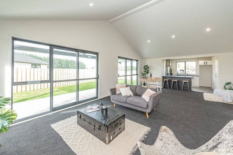 Photo of property in 59 Tawhero Street, Gonville, Wanganui, 4501