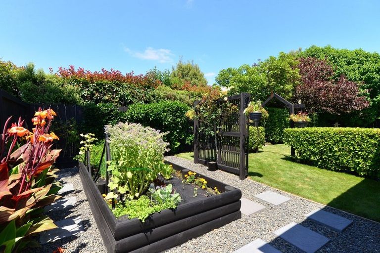 Photo of property in 54 Rhys Avenue, Huntington, Hamilton, 3210