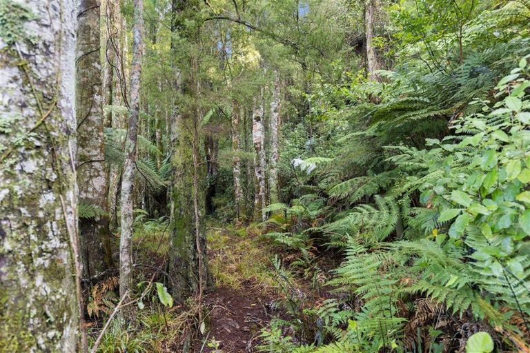 Photo of property in 80 Pupu Valley Road, Takaka, 7182