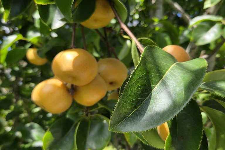 Photo of property in 314f Waipapa Road, Waipapa, 0230