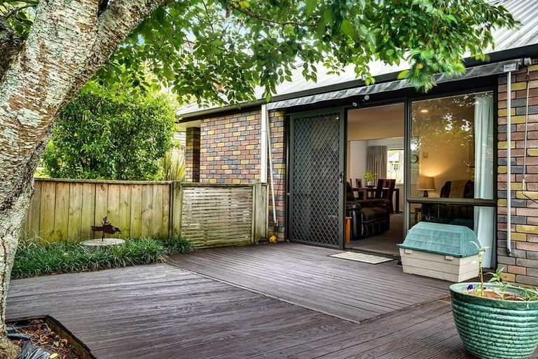 Photo of property in 49c Carey Street, Maeroa, Hamilton, 3200