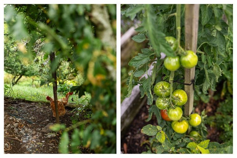 Photo of property in 75 Totara Valley Road, Thames, 3578