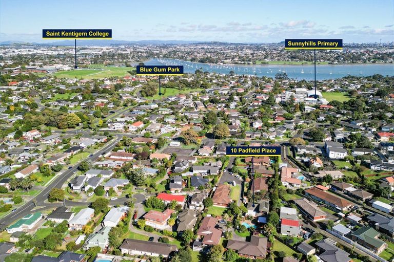 Photo of property in 10 Padfield Place, Sunnyhills, Auckland, 2010