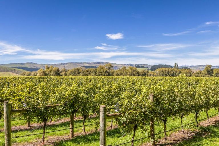 Photo of property in 1114 Omihi Road, Omihi, Amberley, 7483