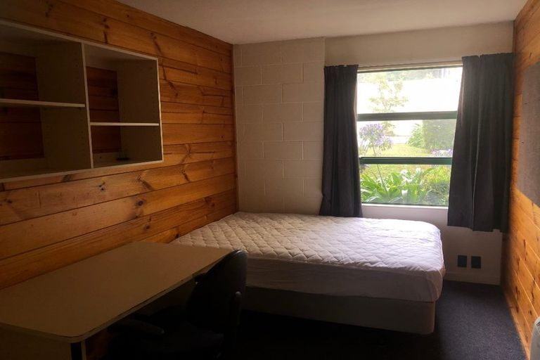Photo of property in Te Awhina Apartments, 18/22 Sussex Street, Mount Cook, Wellington, 6021