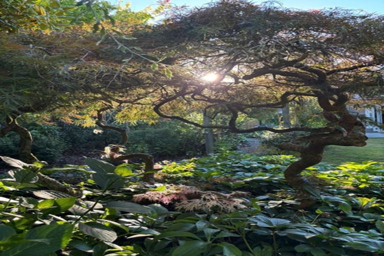 Photo of property in 17b Jellicoe Street, Greytown, 5712