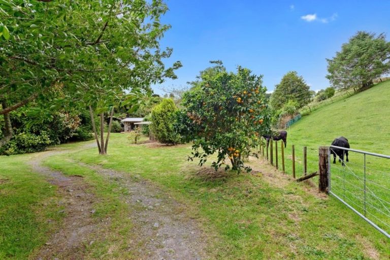 Photo of property in 1279 Manawahe Road, Manawahe, Whakatane, 3194