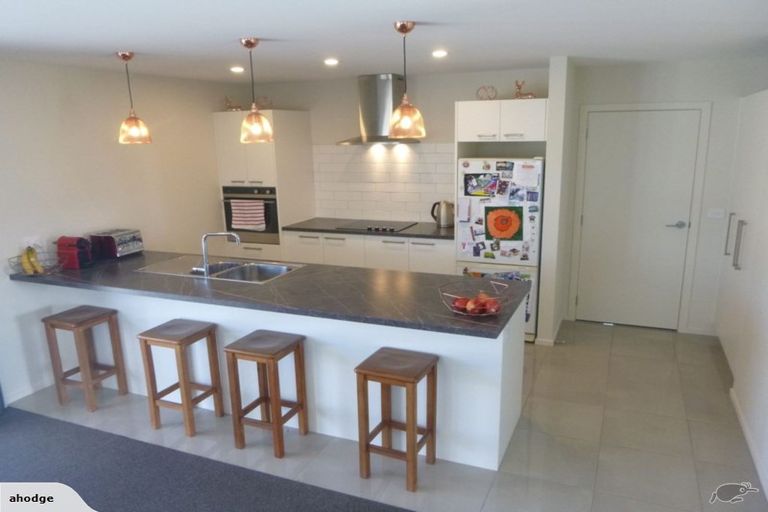 Photo of property in 14 Hebbard Court, Albert Town, Wanaka, 9305
