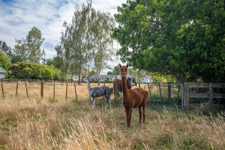 Photo of property in 15 Golf Street, Putaruru, 3411