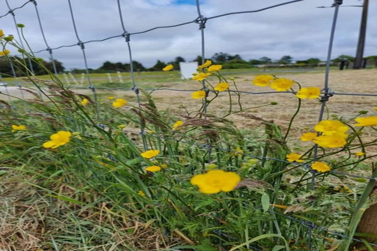 Photo of property in 10 Maire Street, Mamaku, 3020