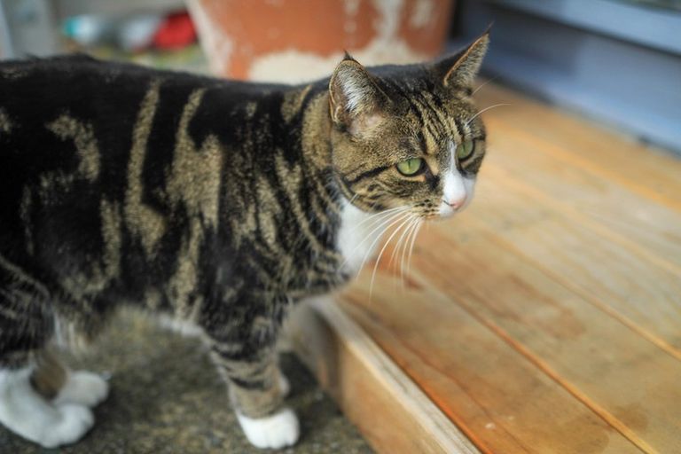 Photo of property in 2/43 Leighton Avenue, Waiwhetu, Lower Hutt, 5010