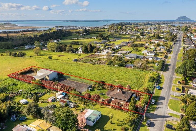 Photo of property in 11 Carmichael Road, Bethlehem, Tauranga, 3110