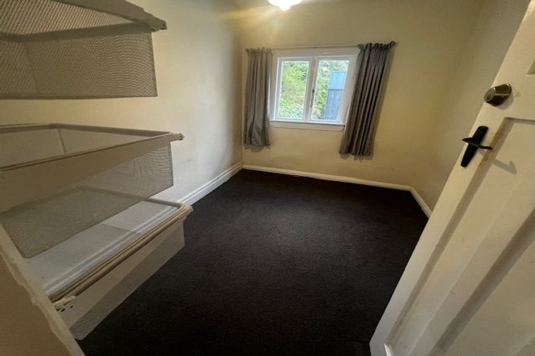 Photo of property in 217 Aro Street, Aro Valley, Wellington, 6021