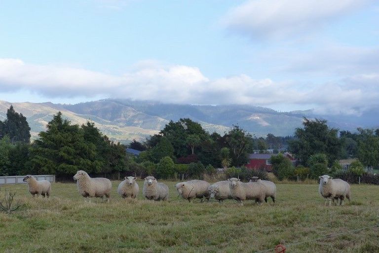 Photo of property in High Street, Waimate, 7924