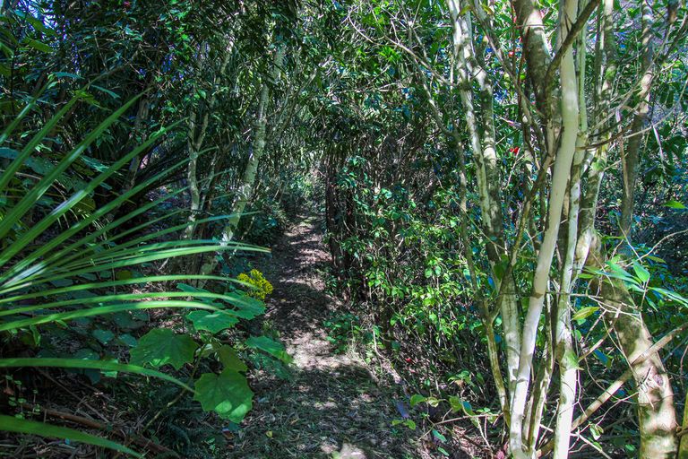 Photo of property in 10 Goudie Road, Helensville, 0875