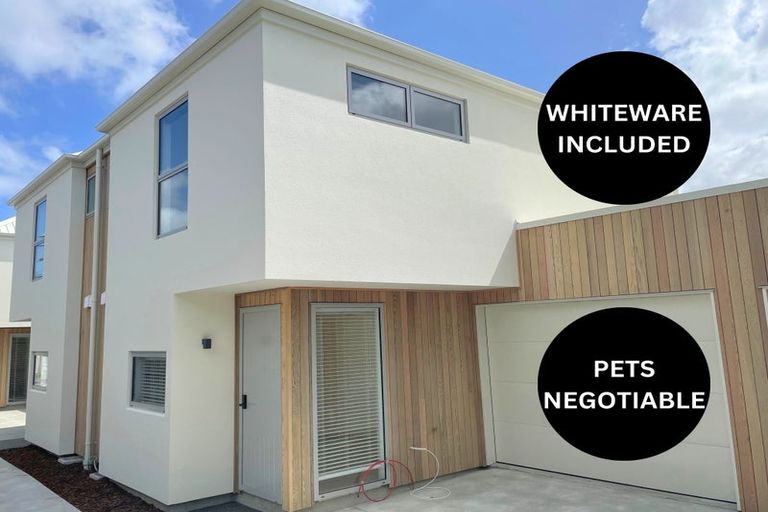 Photo of property in 17c Dickens Street, Addington, Christchurch, 8024