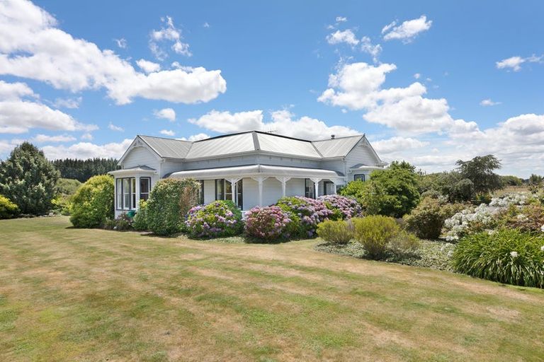 Photo of property in 84 Johnson Street, Bulls, 4818