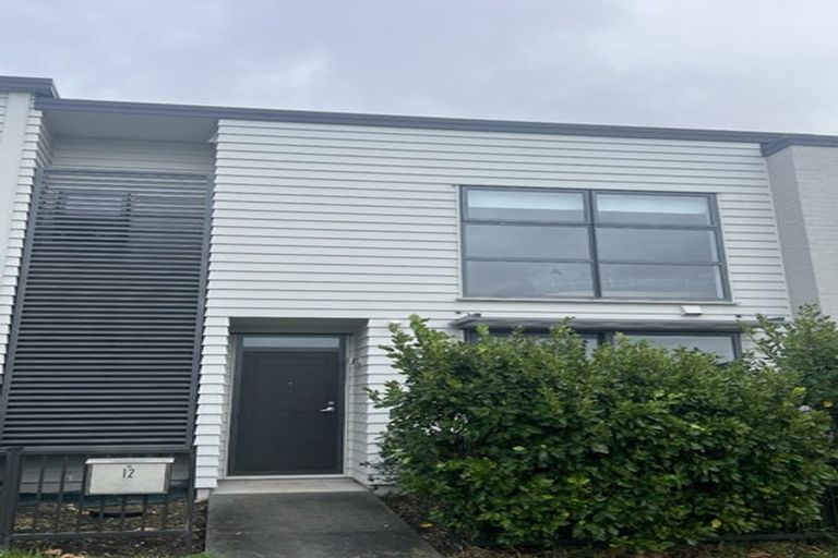 Photo of property in 12 Riviera Drive, Flat Bush, Auckland, 2019
