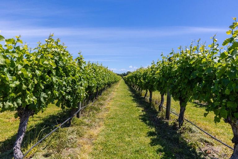 Photo of property in 5 Brook Street, Renwick, 7204