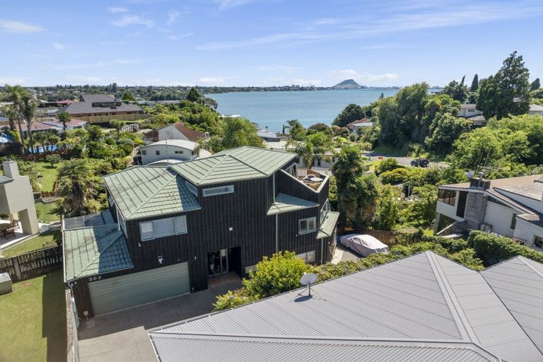Photo of property in 202 Maungatapu Road, Maungatapu, Tauranga, 3112
