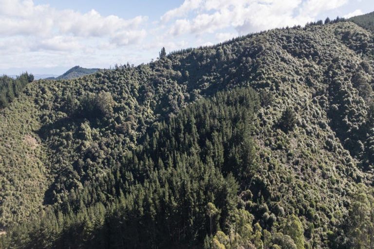 Photo of property in 967 Aniseed Valley Road, Aniseed Valley, Richmond, 7081