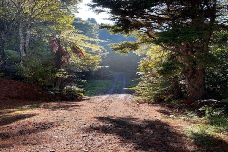 Photo of property in Birdsnest Holiday Ventures, 990 Trounson Park Road, Donnellys Crossing, Dargaville, 0379