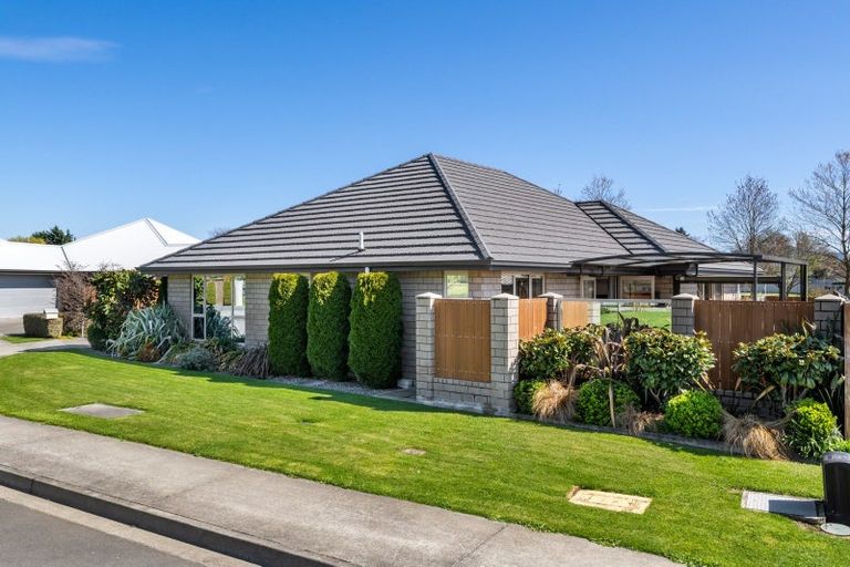 Photo of property in 8 Rifle Range Place, Witherlea, Blenheim, 7201