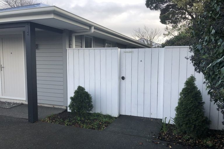 Photo of property in 23b Plynlimon Road, Fendalton, Christchurch, 8052