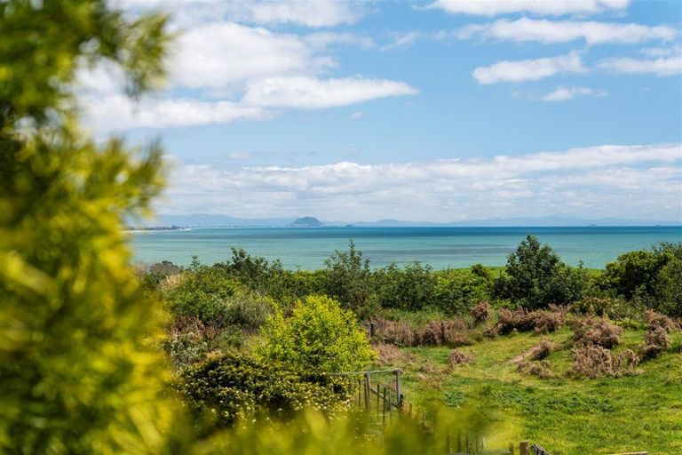 Photo of property in 33 Ngaparaoa Drive, Maketu, Te Puke, 3189