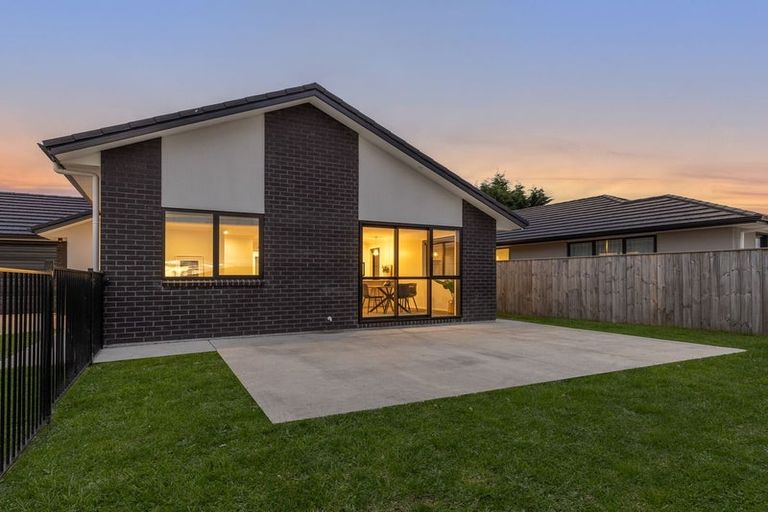 Photo of property in 79 Hinemoa Street, Levin, 5510