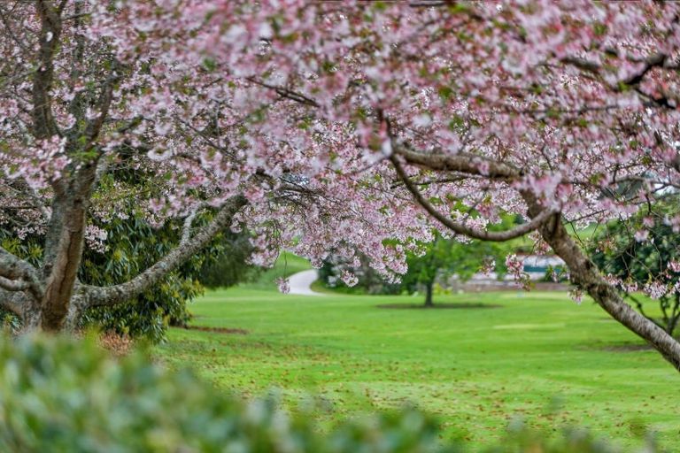 Photo of property in 10 Serenity Drive, Omokoroa, 3114