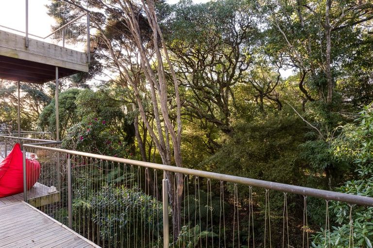 Photo of property in 17 Kinvig Street, Andersons Bay, Dunedin, 9013