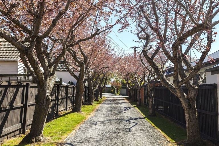 Photo of property in 25b Taylors Avenue, Bryndwr, Christchurch, 8052