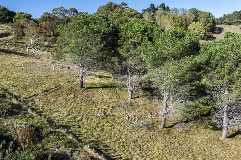 Photo of property in 103 Ballantyne Road, Poraiti, Napier, 4182