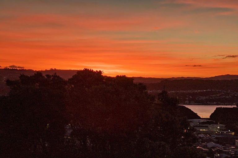 Photo of property in 157 Townsend Road, Miramar, Wellington, 6022