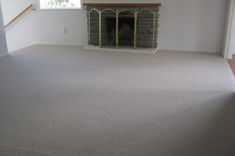 Photo of property in 14 Woodstock Road, Forrest Hill, Auckland, 0620