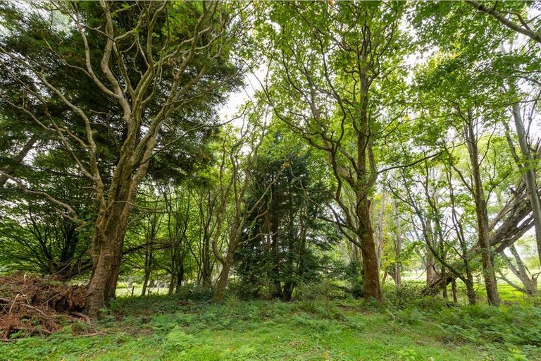 Photo of property in 73 Castle Hill Road, Alfredton, Eketahuna, 4996