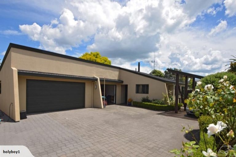 Photo of property in 19 Waitui Grove, Mount Maunganui, 3116