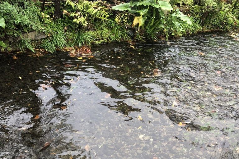 Photo of property in 21 Glandovey Road, Fendalton, Christchurch, 8052