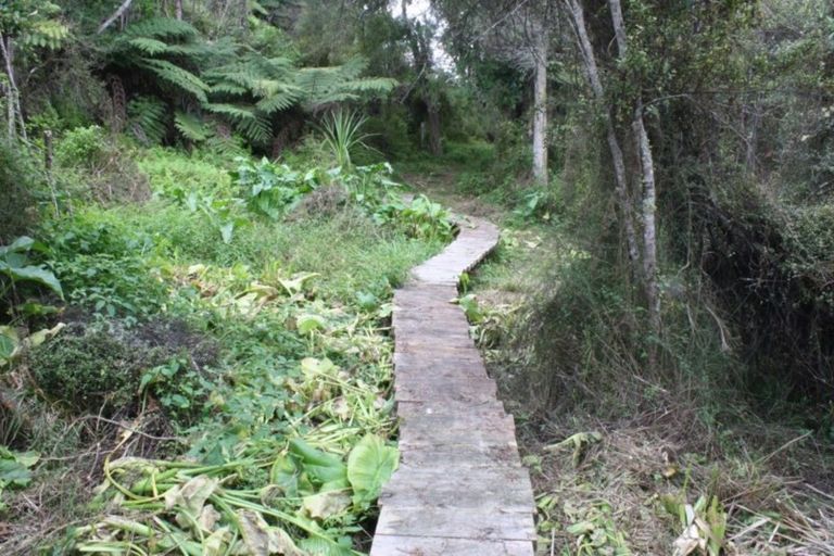 Photo of property in 2095 Cove Road, Mangawhai, Kaiwaka, 0573