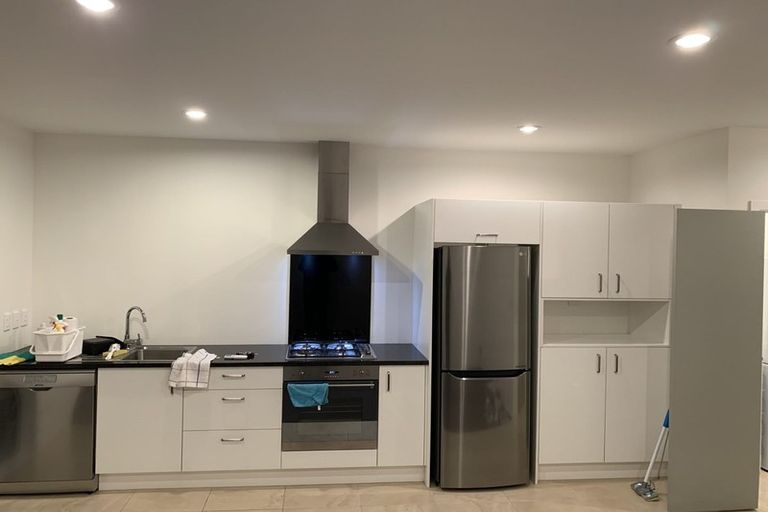 Photo of property in 11 Portland Lane, Chartwell, Hamilton, 3210